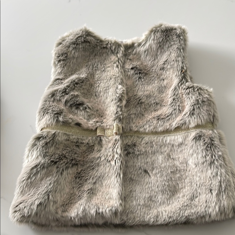 Faux Fur Vest in Gray